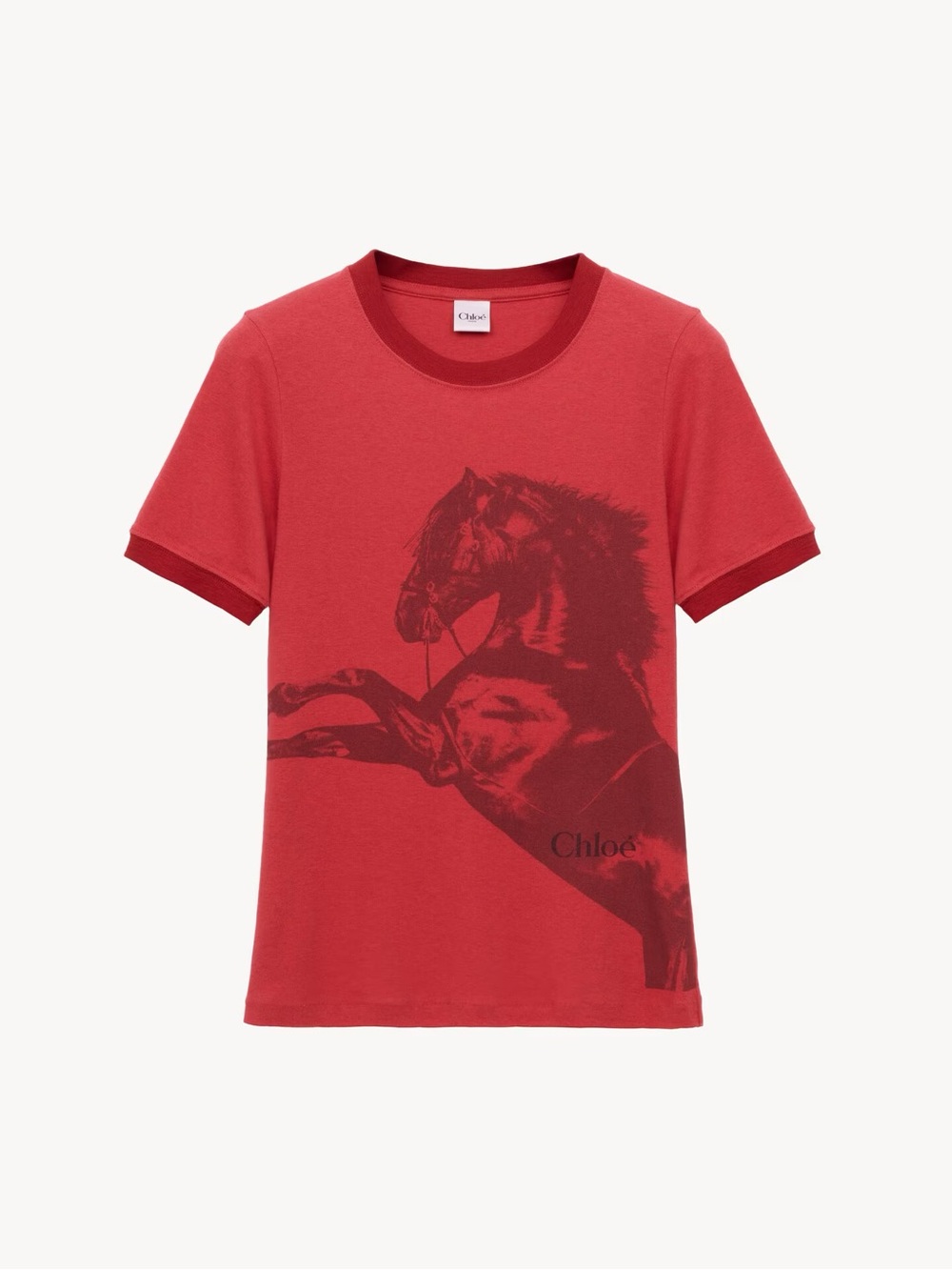 ✨ CHLOE lunar new year horse BABY FIT LOGO T-SHIRT IN CHINÉ JERSEY
$590